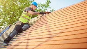 Best Roof Ventilation Installation  in Hector, MN