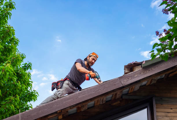 Best Storm Damage Roof Repair  in Hector, MN