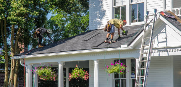 Best Gutter Installation and Repair  in Hector, MN